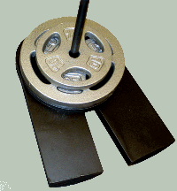 WSS-sm.gif